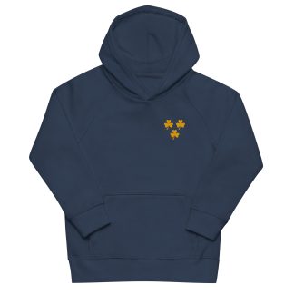 Kids Shamrock eco hoodie - blue & gold